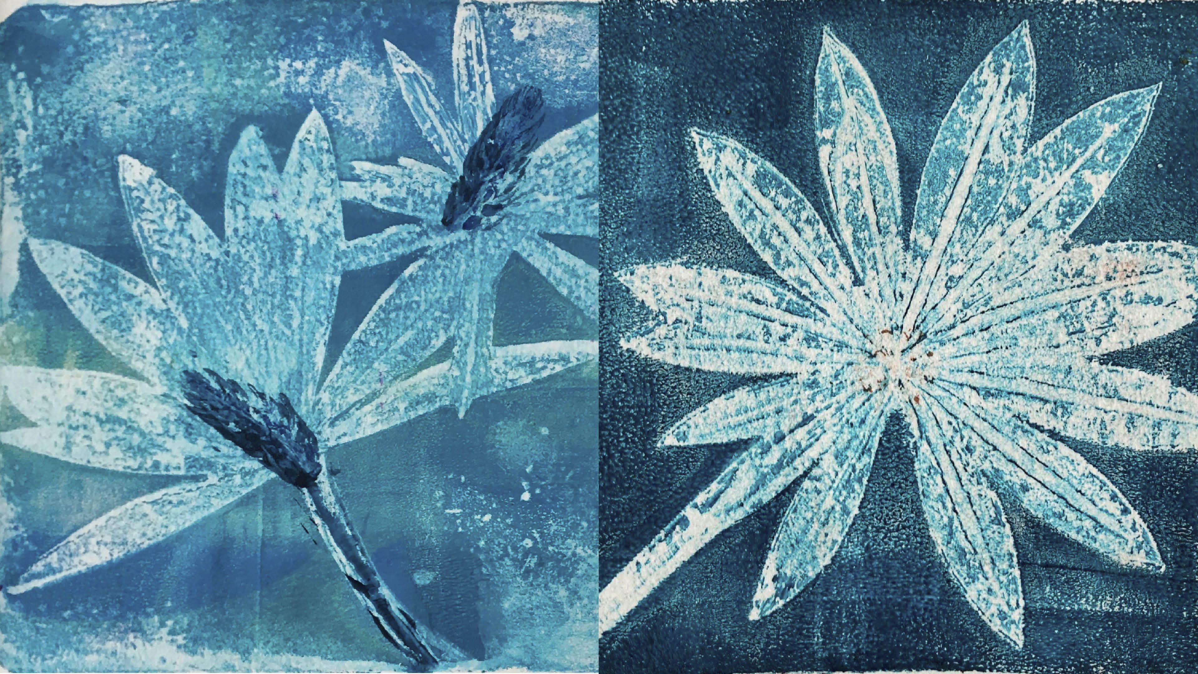 Kaksi sinisävyistä grafiikkatyötä, joissa käytetty kasvin lehtiä.