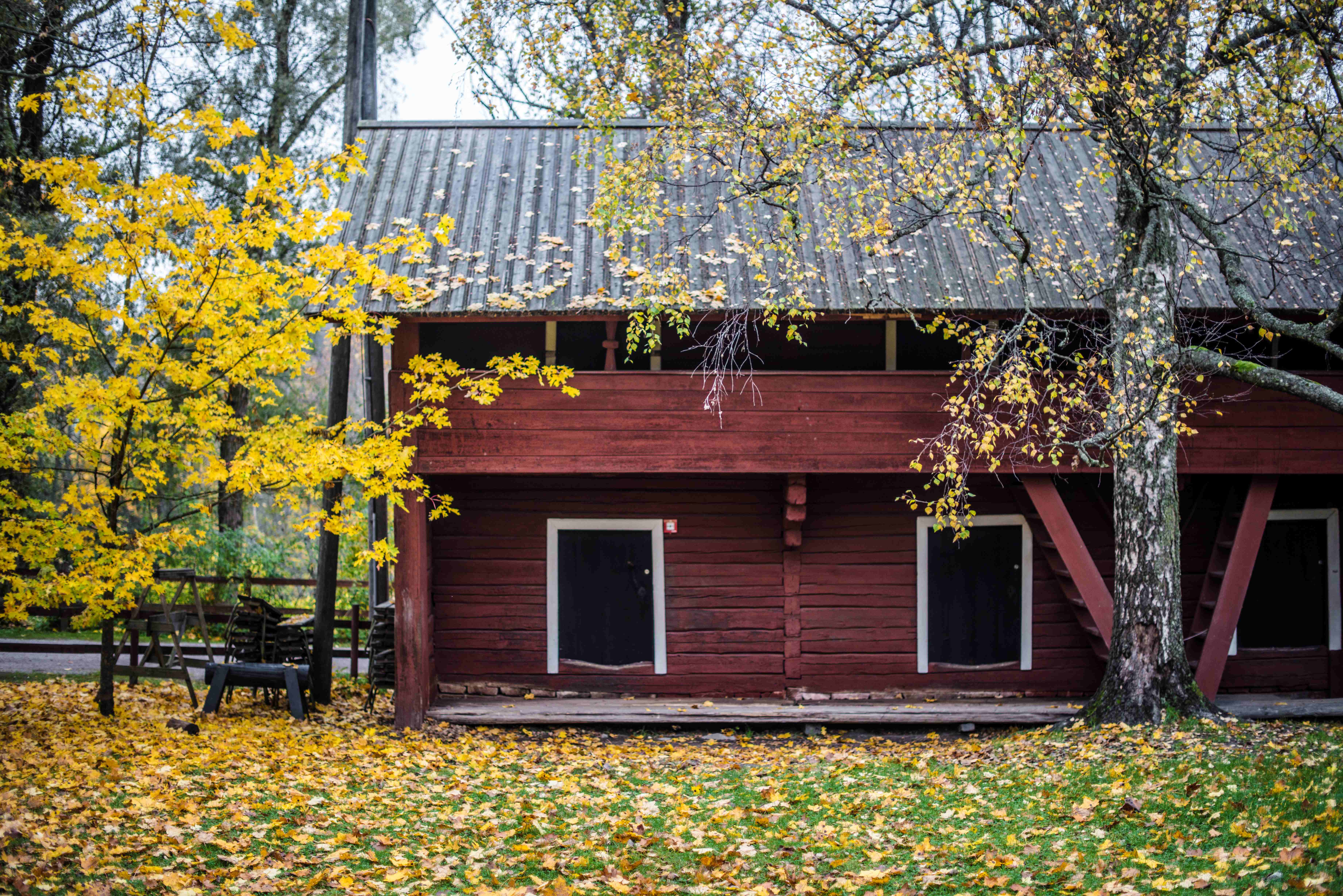 Yleisöopastus Glimsissä: Glims tutuksi
