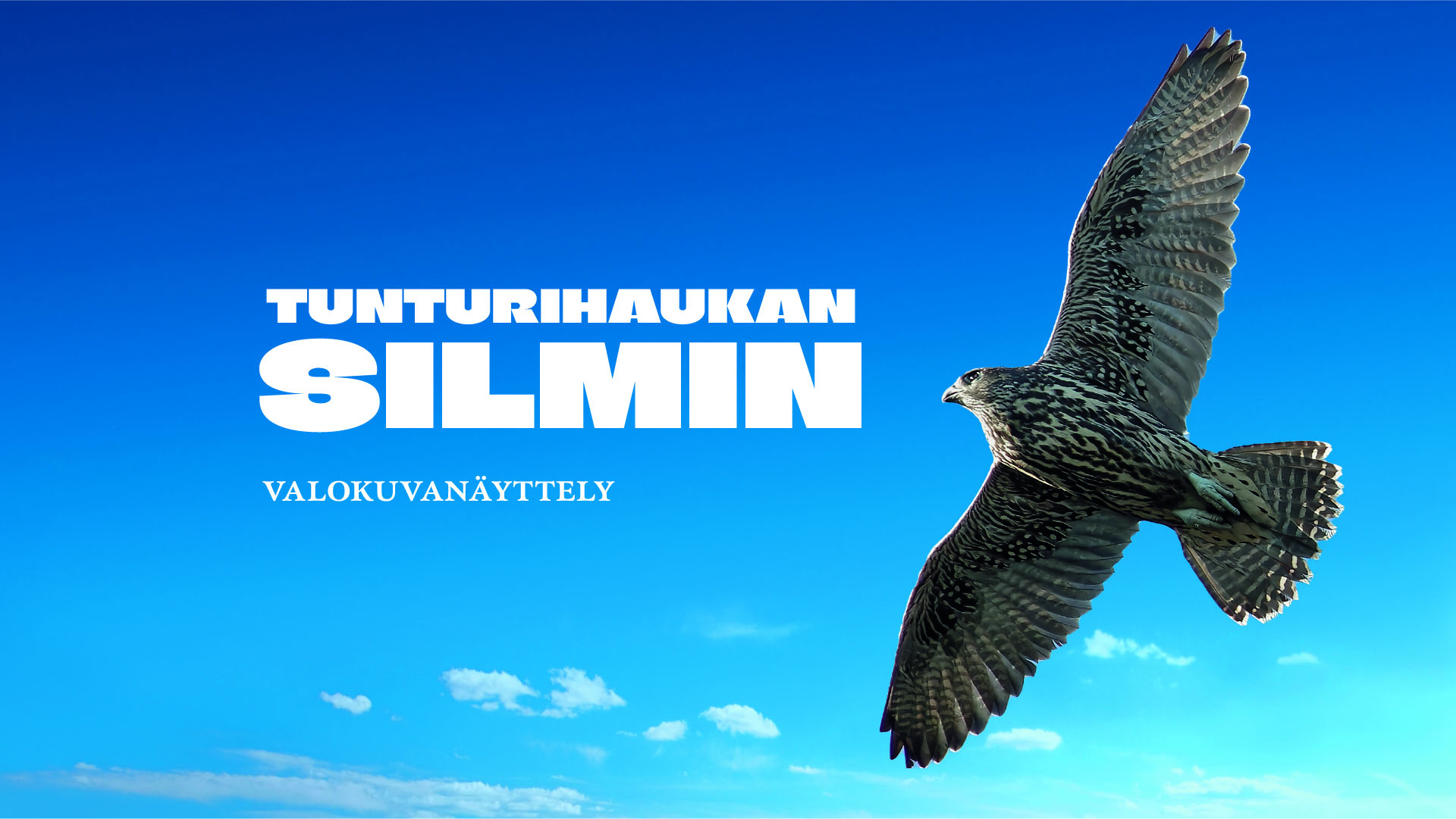 Tunturihaukan silmin - pohjoinen alue ilmastonmuutoksen kynsissä